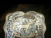 Local 4-H participants bring home hardware