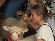 4-H IN THE NEWS