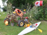 11 winners in Beautification Competition