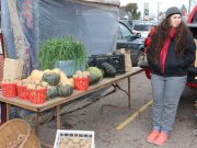 The senses are tickled by the close to 150 vendors at Taste of the Valley in Cobden