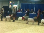 La Passe teen wins prestigious award at Royal Winter Fair