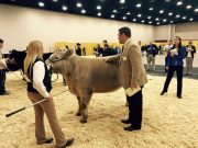 Jack Oattes earns top points