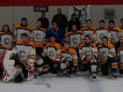Cobden Midgets are A champions at Renfrew Tournament