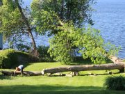 Wind Storm Damage