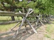 Split-rail fences were built “horse high and bull tight”