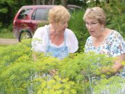 So many herbs, so many uses — Flora Bloom is the guest speaker