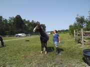 Campground for horse and rider