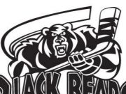 13th Annual Black Bears Hockey Tournament raises $15,955 for Cutting Edge Campaign Black Bears Charity