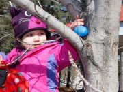 Hunting for Easter Eggs Easter Egg Hunt in Cobden