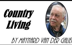 country living by maynard
