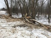 Path of destruction left by “machine from a Mad Max movie” Township of Whitewater Region