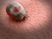 Ticks and Lyme Disease –Be aware it may be there
