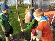 Busy time of year 1st Cobden Scout