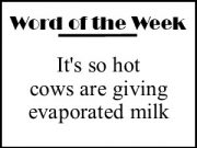 Word of the Week