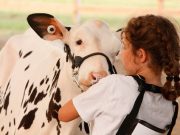 More than 9,000 attend Beachburg Fair