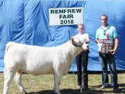 Winners at Renfrew County 4H Beef Championship show