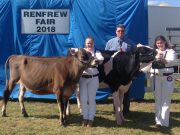 Taylor Nelson of Cobden shows grand champion 4H dairy heifer