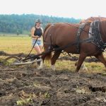Renfrew County Plowing Match