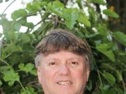 Ron Laronde for Councillor: Communication with Council
