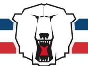 Whitewater Kings to play in international hockey game at Astrolabe Arena in Cobden