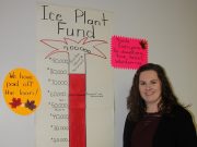 Cobden Curling Club pays off $60,000 loan in a year