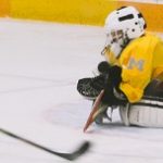 hockey 17 good save