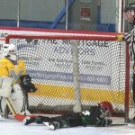 hockey 18 boy in net