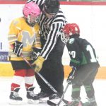 hockey 8 ref help