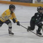 hockey 9 henry chasing down the puck