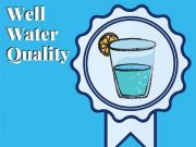 Test your well water if flood waters surrounded the well
