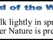 Word of the Week