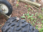 Railway spike damages ATV tire beyond repair on Algonquin Trail