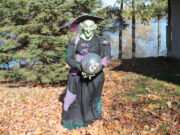 Halloween Fall Festival brings fun, laughs in warm weather