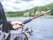 Fisheries management plan helps anglers on the Ottawa River
