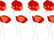 The Poppy on the Wall