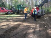 Trudeau signals phasing out forestry