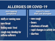 Pollen or Pandemic? How to spot the difference