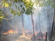 Fire ban remains in effect