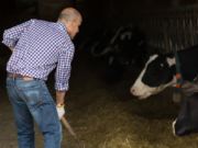 Further steps taken to protect farm workers