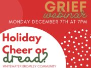 Holiday Grief Webinar