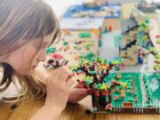 Cobden Science Fair Entry Uses Lego to Illustrate Biodiversity