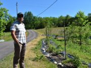 Beachburg Food Yard Provides Local Vegetables