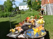 Whitewater Gardeners Day Lilies Garden Tour