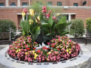 RVH Unveils Legacy Circle in Healing Garden
