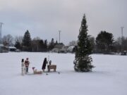Christmas in Whitewater