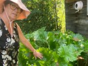Whitewater Gardeners Tour July 9th