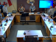 Purchase of Bridges Forces Recorded Vote in Council, Wins 5-6