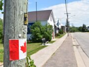 Forester’s Falls Resident Organizes Petition to Council over Road Upgrades