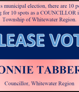 In this municipal election, there are 10 people vying for 10 spots as a COUNCILLOR in the Township of Whitewater Region. PLEASE VOTE CONNIE TABBERT Councillor, Whitewater Region