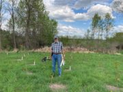Fifty-one years of planting trees on the Dobson Farm in the Upper Ottawa Valley